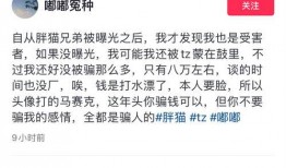 最新爆料谭竹聊天记录,揭秘背后惊人内幕